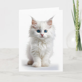 Pluizige Witte Langharige Kat Blauwe Ogen Lege Kaa Kaart