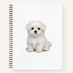 Pluizige Witte Maltezer Puppy Portret Schattige Ho Notitieboek