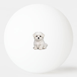 Pluizige Witte Maltezer Puppy Portret Schattige Ho Pingpongbal