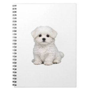 Pluizige Witte Maltezer Puppypoort Cute Hond Liefh Notitieboek