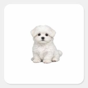 Pluizige Witte Maltezer Puppypoort Cute Hond Liefh Vierkante Sticker
