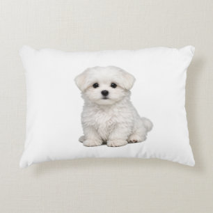 Pluizige Witte Maltezer Puppypoort Cute Hondliefhe Accent Kussen