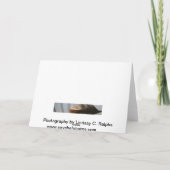 Pluizige witte veer op strandWenskaart Kaart (Achterkant)