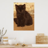 Pluizige Zwarte Kitten Poster (Keuken)