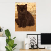 Pluizige Zwarte Kitten Poster (Thuiskantoor)