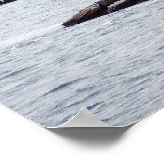 Plum Beach vuurtoren - Poster van 1999 (Hoek)