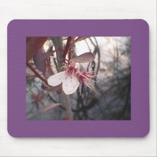 Plum Bloom Muismat