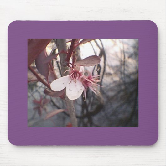 Plum Bloom Muismat (Voorkant)