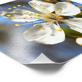 Plum Blossom Botanical Art Foto Afdruk (Hoek)