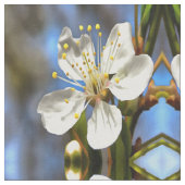 Plum Blossom Botanical Art Stof (Close Up)