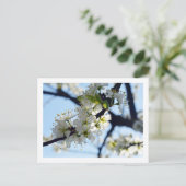 Plum Blossom Briefkaart (Staand voorkant)