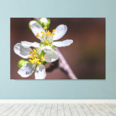 Plum Blossom Canvas Afdruk (Insitu (Houten vloer))