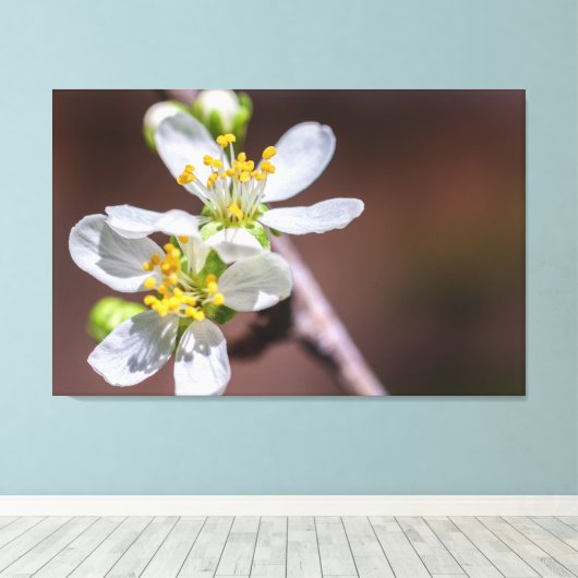 Plum Blossom Canvas Afdruk (Insitu (Houten vloer))