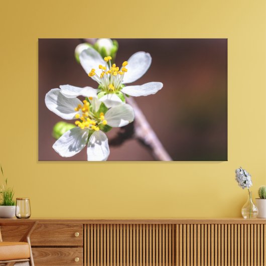 Plum Blossom Canvas Afdruk (Insitu (Woonkamer))