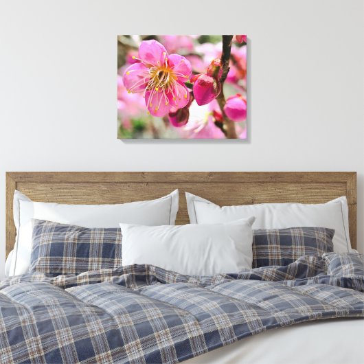Plum Blossom Close-Up Canvas Afdruk (Insitu (Slaapkamer))