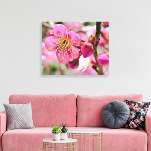 Plum Blossom Close-Up Canvas Afdruk (Insitu (Woonkamer))