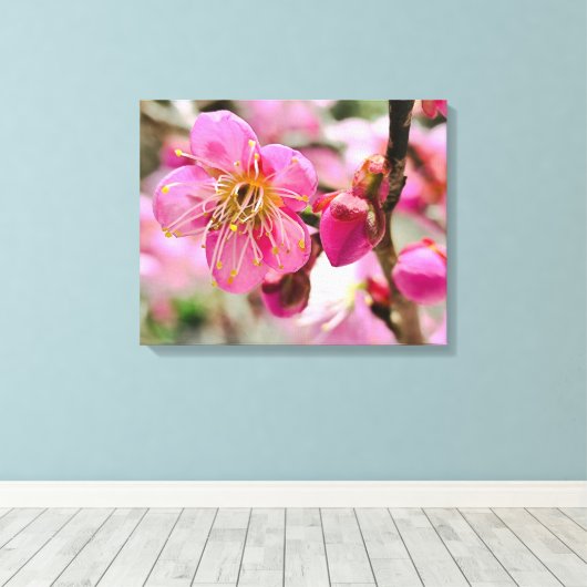Plum Blossom Close-Up Canvas Afdruk (Insitu (Houten vloer))