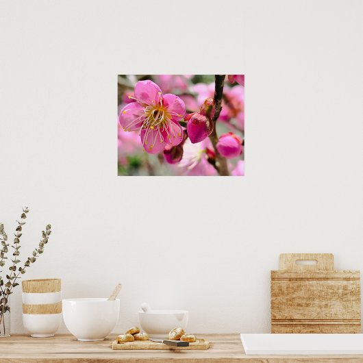 Plum Blossom Close-Up Poster (Keuken)