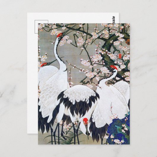 Plum Blossom en Cranes van Ito Jakuchu Briefkaart (Voorkant / Achterkant)
