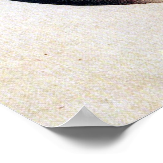 Plum Blossom en de Moon Hokusai Poster (Hoek)