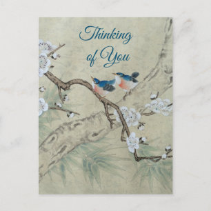 Plum Blossom in lente Briefkaart