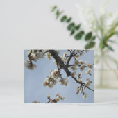 Plum Blossom: Japan Briefkaart (Staand voorkant)