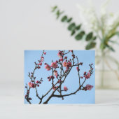 Plum Blossom: Japan Briefkaart (Staand voorkant)