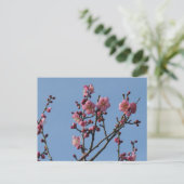 Plum Blossom: Japan Briefkaart (Staand voorkant)