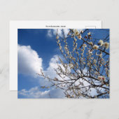Plum Blossom: Japan Briefkaart (Voorkant / Achterkant)