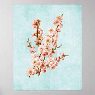 Plum Blossom op Aged Denim Poster
