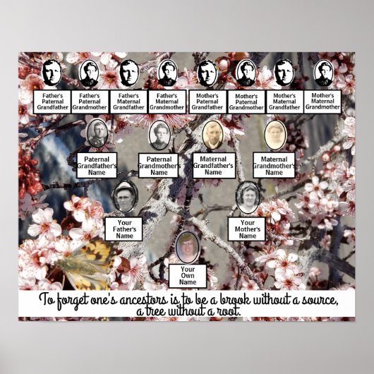 Plum Blossom Photo Quote Family Tree Poster (Voorkant)