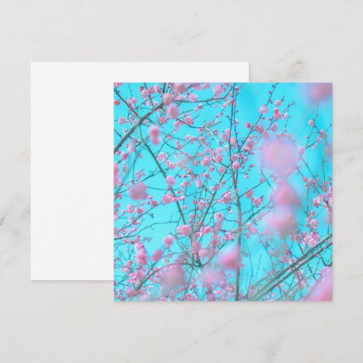 Plum Blossom (Suzhou, China) (Voorkant / Achterkant)