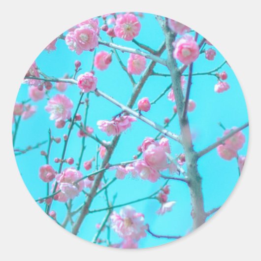 Plum Blossom (Suzhou, China) Ronde Sticker (Voorkant)