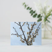 Plum Blossom: Tokio Briefkaart (Staand voorkant)