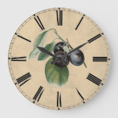  plum Illustration Grote Klok (Voorkant)