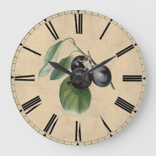  plum Illustration Grote Klok