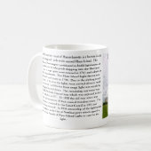 Plum Island Lighthouse, Massachusetts Mok (Voorkant links)