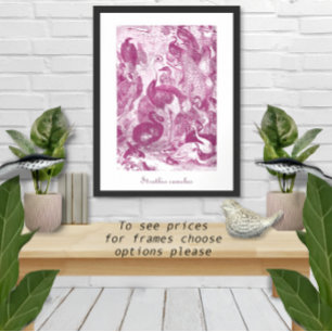 Plum Ostrich Illustratie Struthio camelus Poster