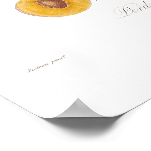 Plum, Perdrigon normand Poster (Hoek)