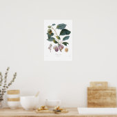 Plum,Prune bifera Poster (Keuken)