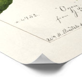 Plum (Prunus Domestica) Waterverf van fruit Poster (Hoek)