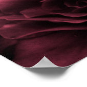 Plum Red Sluiten van een Dubbel Begonia Poster (Hoek)