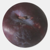 Plum Ronde Sticker (Voorkant)