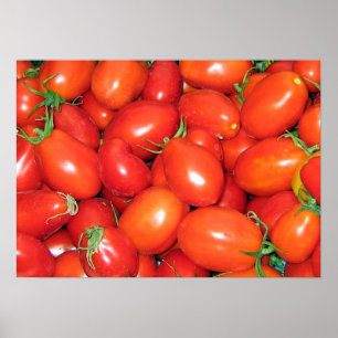 Plum Tomaten Poster