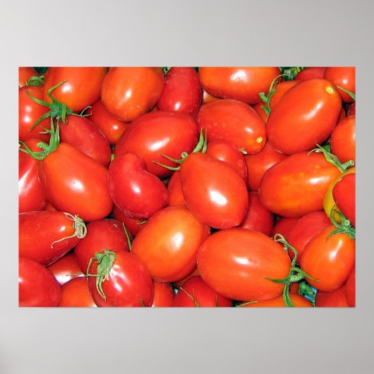 Plum Tomaten Poster (Voorkant)