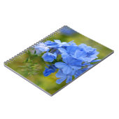 Plumbago - Blue Summer Flowers Afbeelding Notitieboek (Linkerzijde)