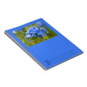 Plumbago - Blue Summer Flowers Afbeelding Notitieboek (Rechterzijde)
