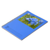 Plumbago - Blue Summer Flowers Afbeelding Notitieboek (Linkerzijde)