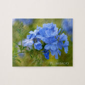 Plumbago - Blue Summer Flowers Floral Photography Legpuzzel (Horizontaal)