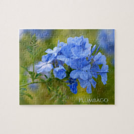 Plumbago - Blue Summer Flowers Floral Photography Legpuzzel